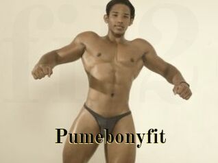 Pumebonyfit