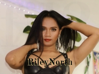 RileyNorth