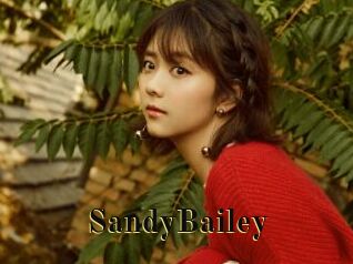 SandyBailey