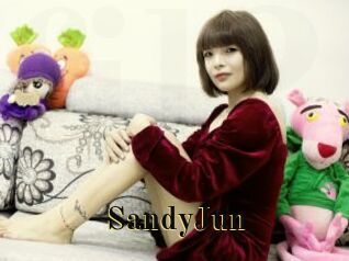 SandyJun