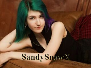 SandySnowX