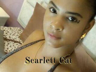 Scarlett_Cat