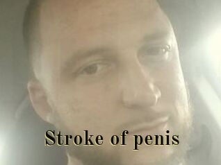 Stroke_of_penis