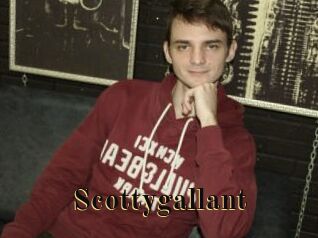 Scottygallant