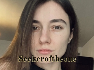 Seekeroftheone