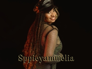 Sppicyammelia