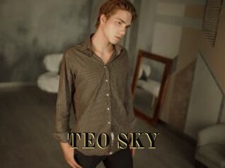 TEO_SKY