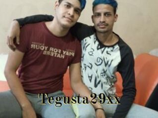 Tegusta29xx