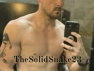 TheSolidSnake23