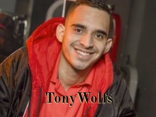 TonyWolfs