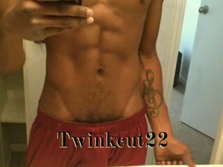 Twinkcut22