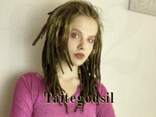 Taitegodsil