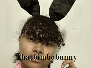 Thatbimbobunny