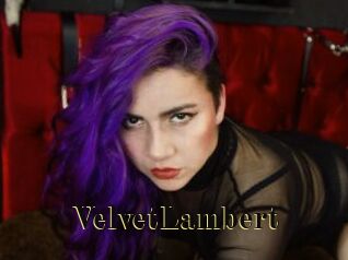 VelvetLambert