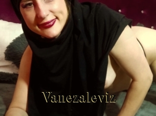 Vanezaleviz