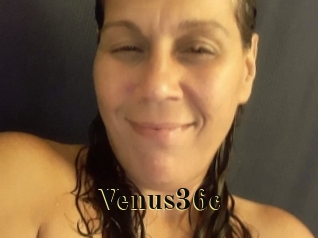 Venus36c