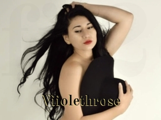 Viiolethrose