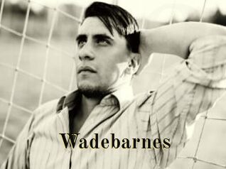 Wadebarnes