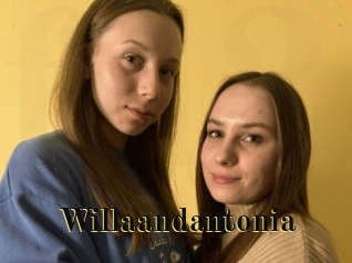 Willaandantonia