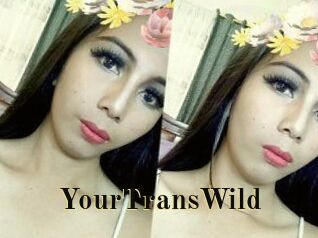 YourTransWild