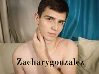 Zacharygonzalez