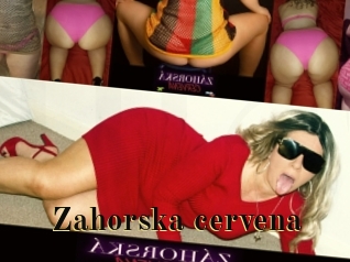 Zahorska_cervena